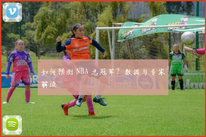 如何预测 NBA 总冠军？数据与专家解读