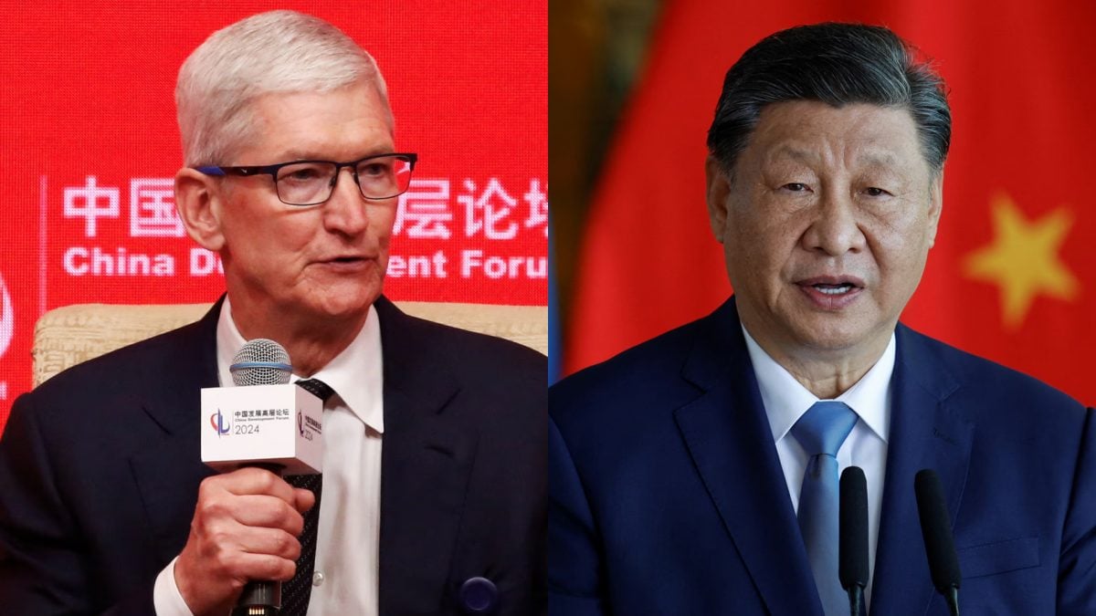 生态的形成